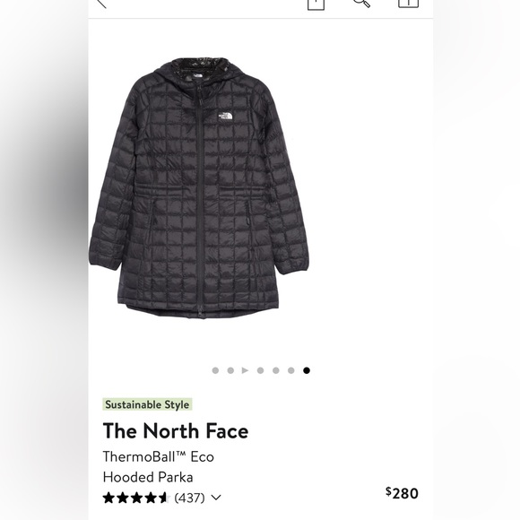 The North Face ThermoBall Eco Hooded Parka - Picture 4 of 8